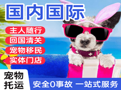 博鳌航空物流国际宠物托运 【国